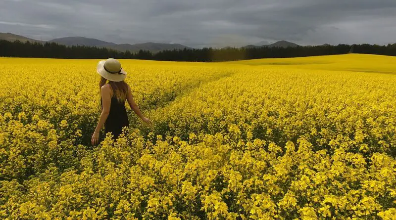 safe places to travel alone as a woman in us